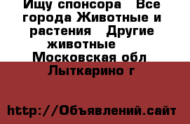 Ищу спонсора - Все города Животные и растения » Другие животные   . Московская обл.,Лыткарино г.